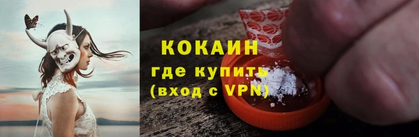 дмт Кодинск
