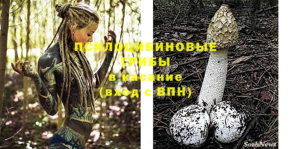 дмт Кодинск