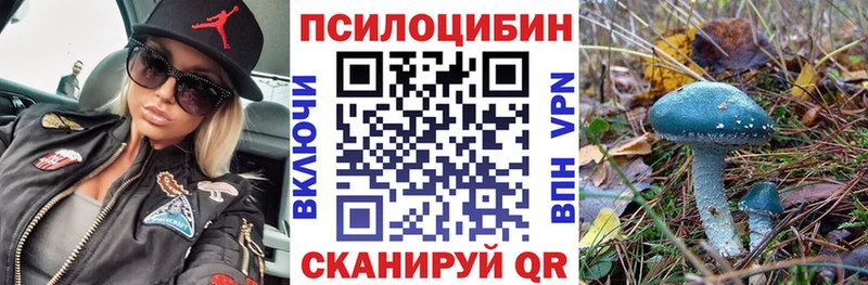 Галлюциногенные грибы MAGIC MUSHROOMS  купить наркотики сайты  Касли 